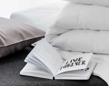 Centa-Star Impression