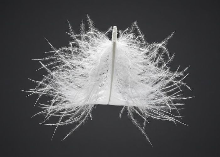 Placeholder: große Daunenflocke