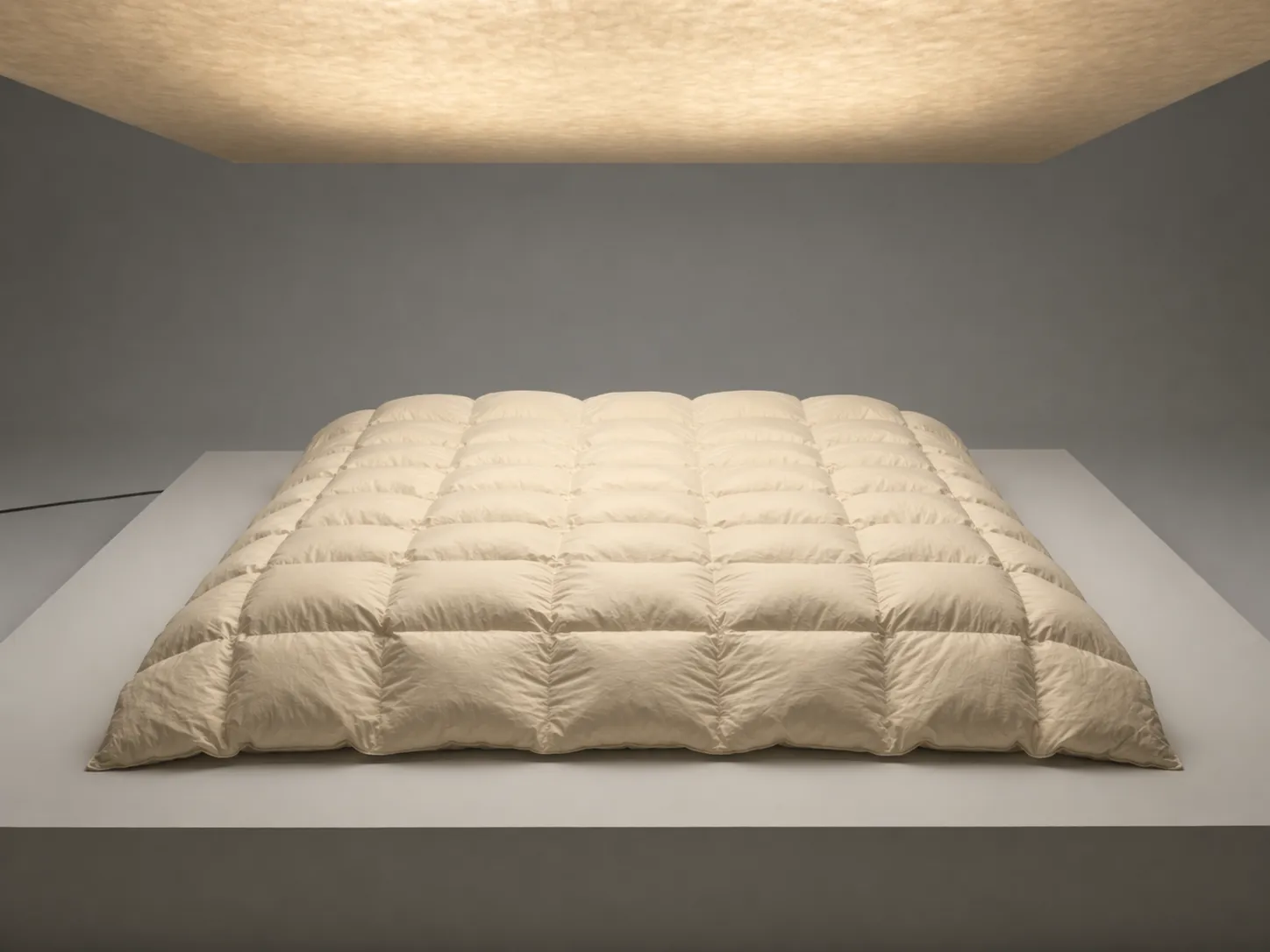 Die Königin der Nacht Winter Eiderdaunendecke Studio Aufnahme