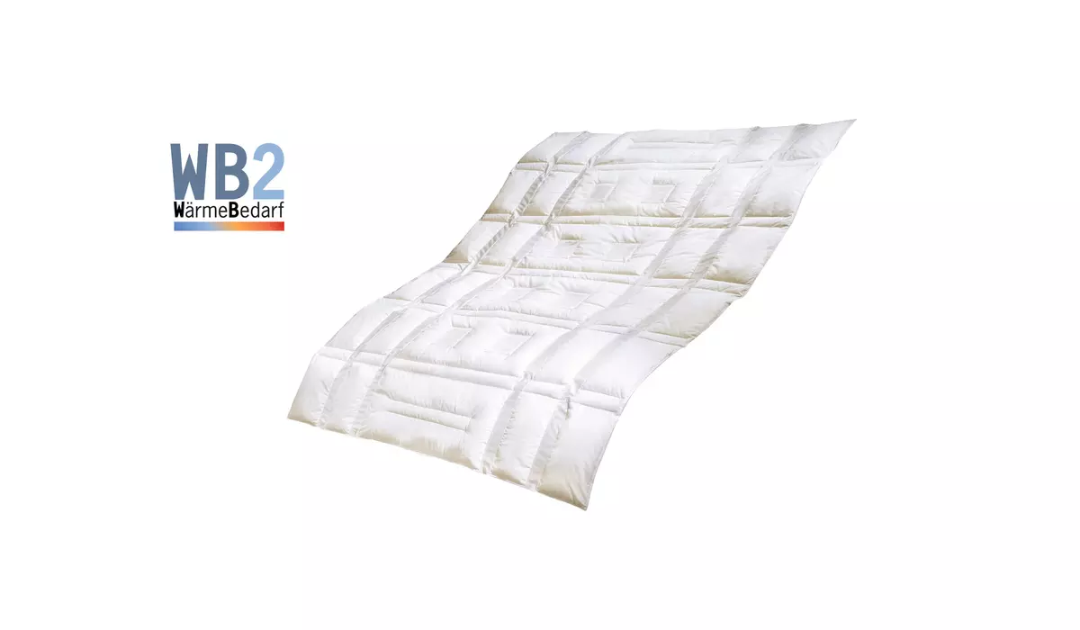 dormabell Klimadecke Daune Edition WB 2