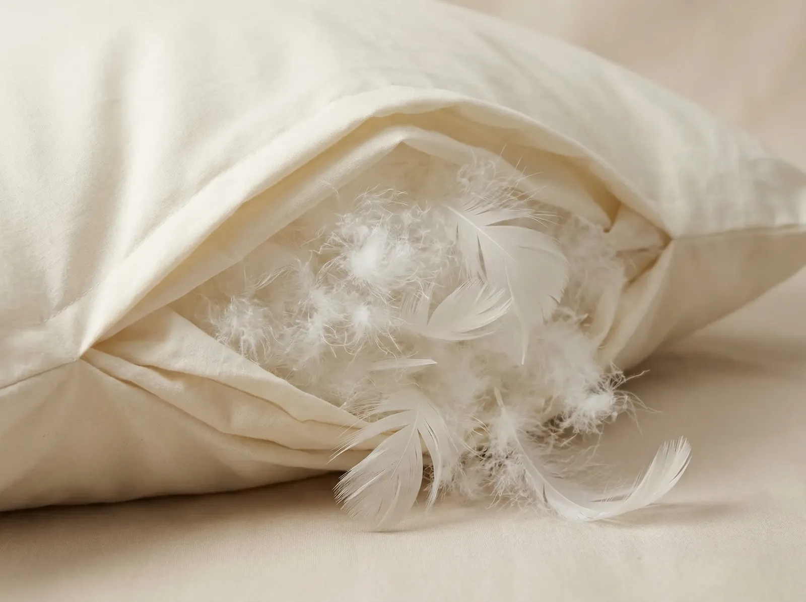 70 zu 30 Feder-Daunen-Füllung im Kissen Traum Comfort von Betten Sauer in Köln